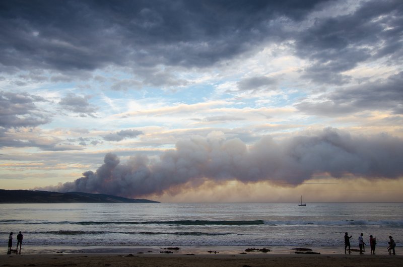 The many sides of Australia's bushfires