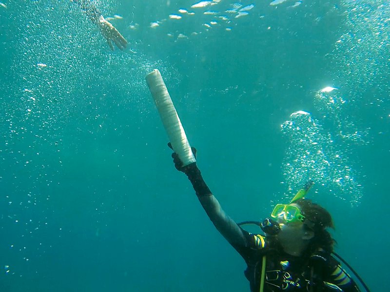 Using Coral as a Proxy of Past Climate