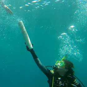 Using Coral as a Proxy of Past Climate
