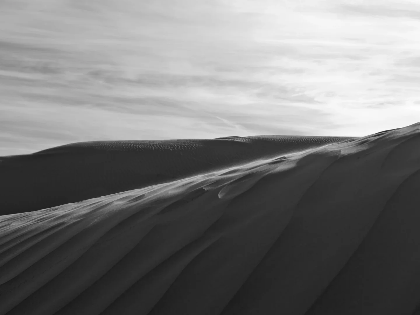 Saskatchewan Sandhills