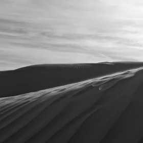 Saskatchewan Sandhills