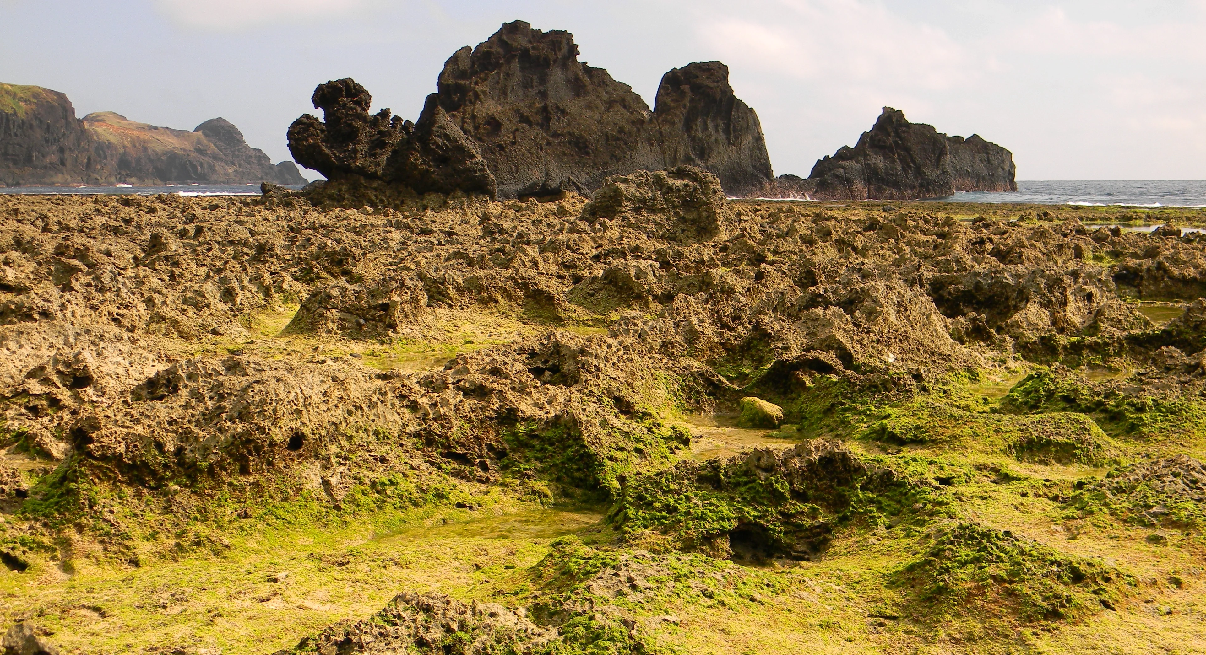 Karstified wave cut platform, Lu Dao, Taiwan