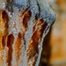 Stomach of the Earth 