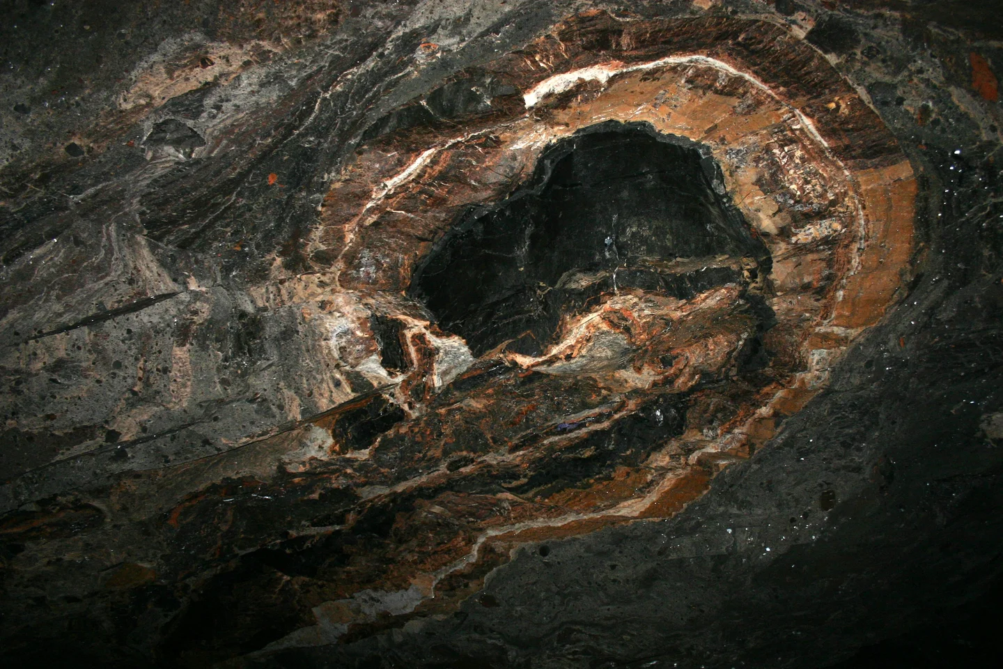 Salt tectonics