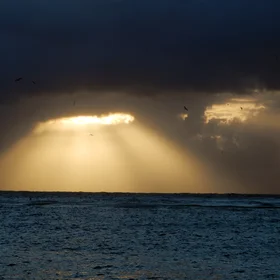 Cloud window
