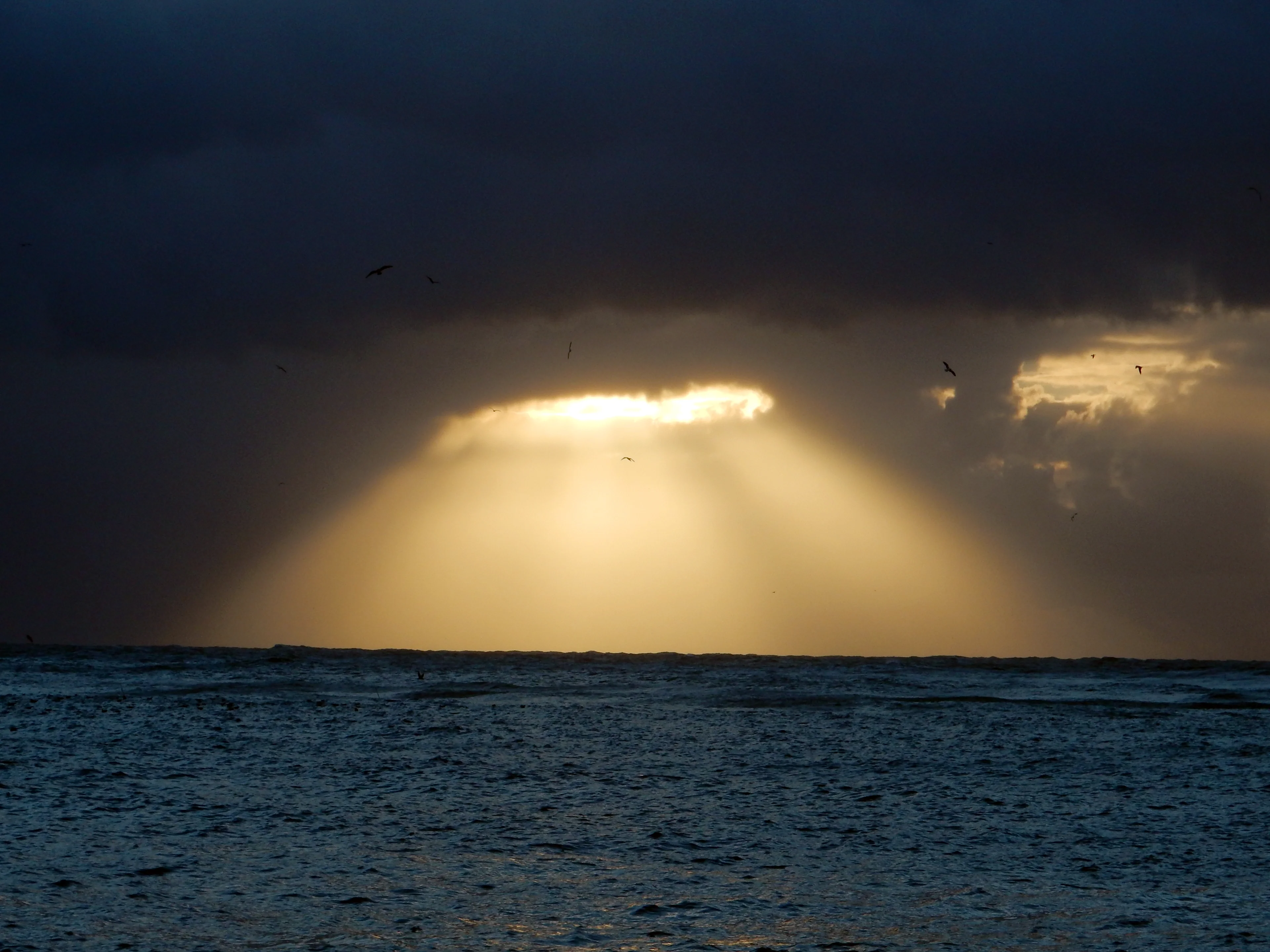 Cloud window