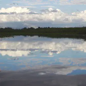 Reflections