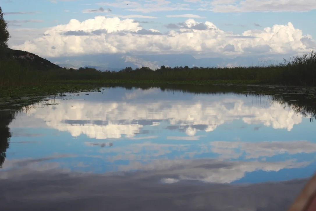 Reflections