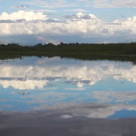 Reflections