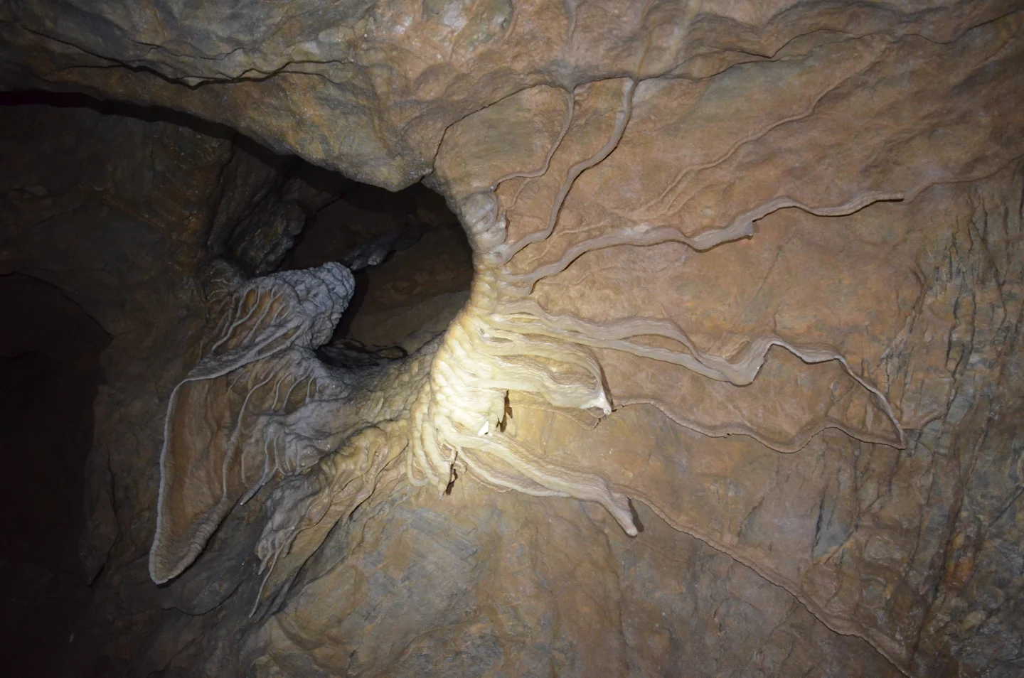 The cave of magical surprises!