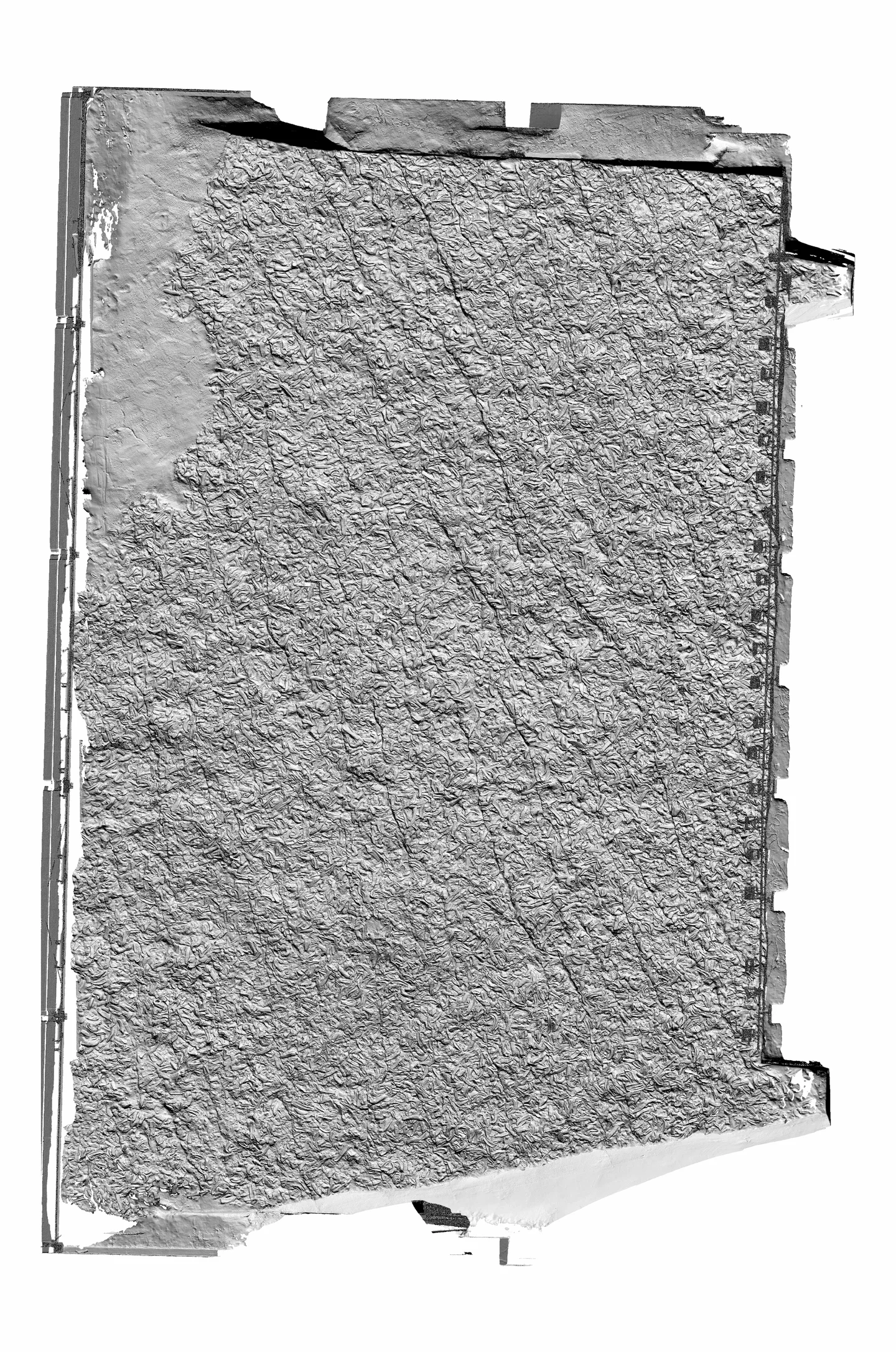 Virtual Sun around Fossilized Oyster Reef