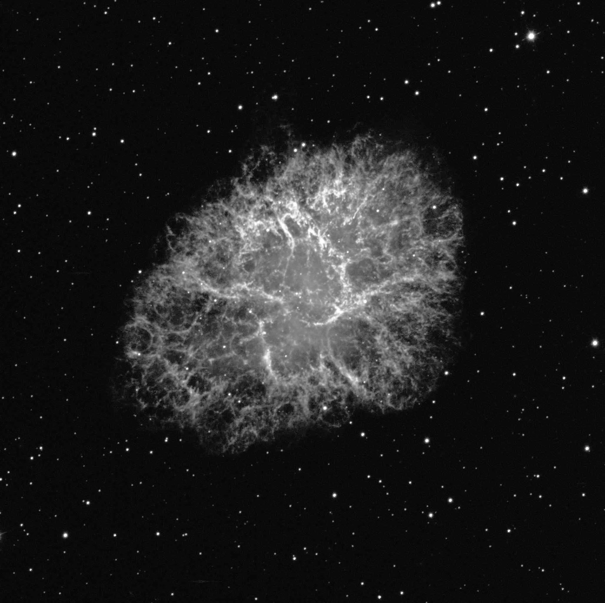 The Crab Nebula