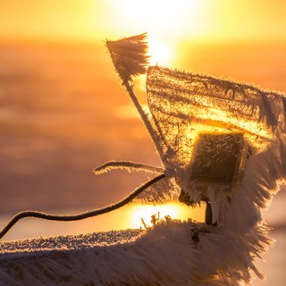 Frozen angel