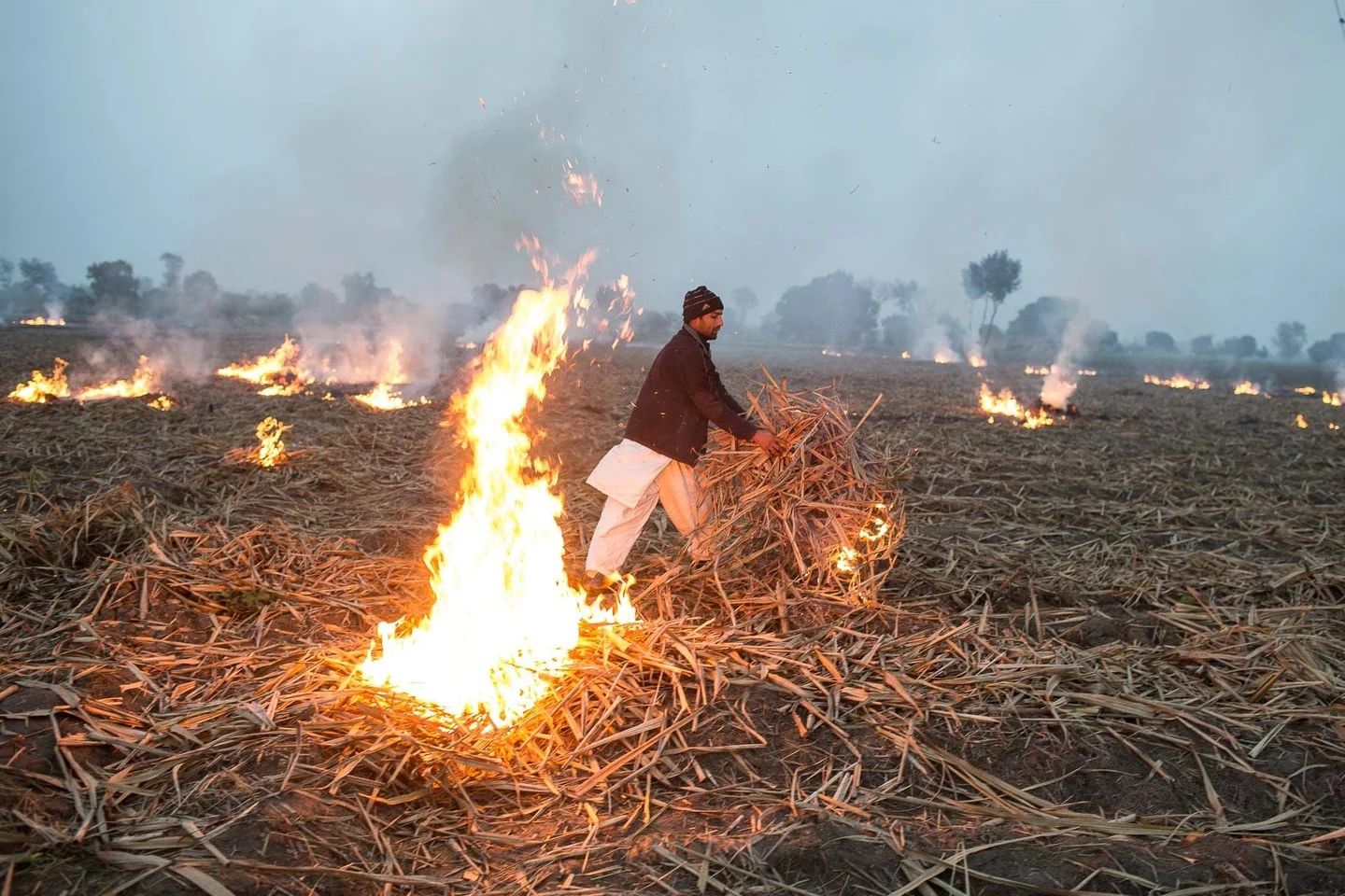 Crop residue burning in Pakistan