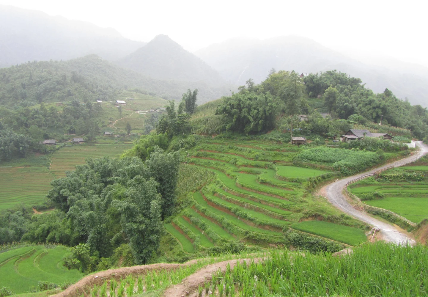 Terraced rice fields in Vietnam