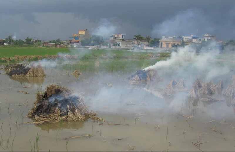 Air pollution from open burning of straw nearby residential area