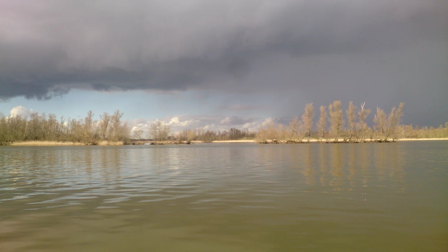 Freshwater tidal wetland The Biesbosch, fieldwork 24-02-2016