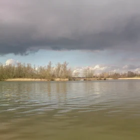 Freshwater tidal wetland The Biesbosch, fieldwork 24-02-2016