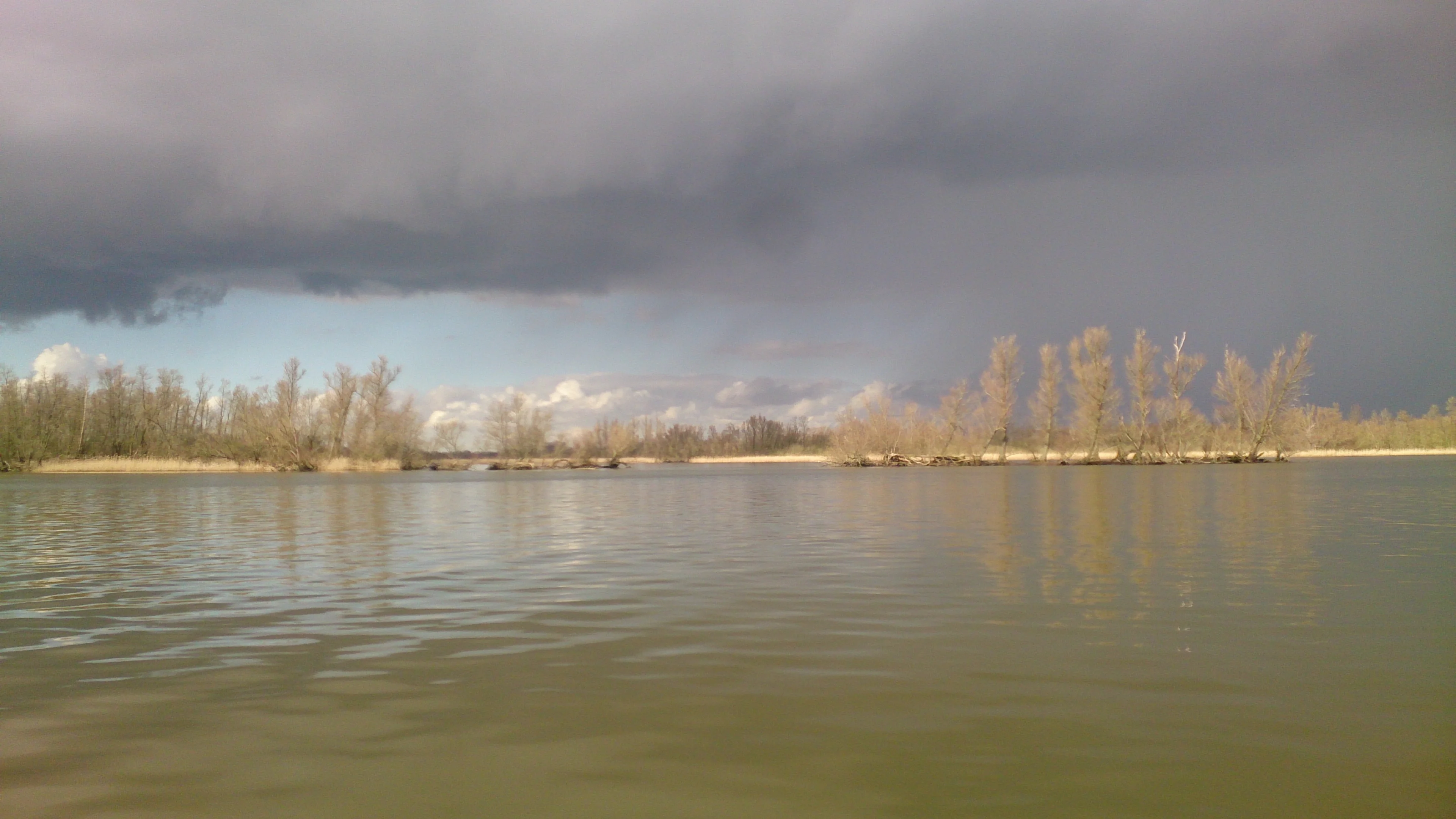Freshwater tidal wetland The Biesbosch, fieldwork 24-02-2016