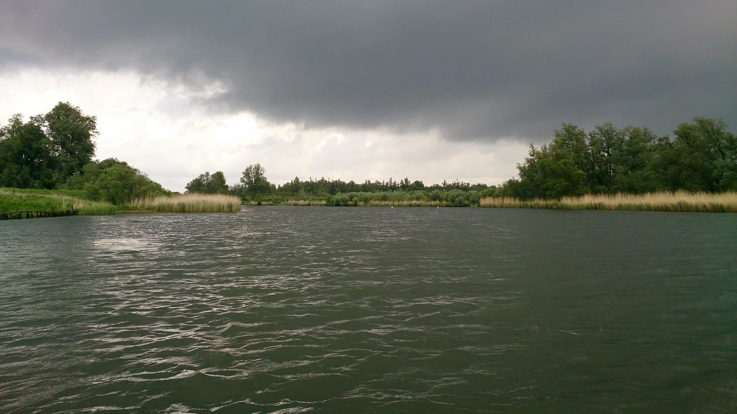 Freshwater tidal wetland The Biesbosch, fieldwork 12-05-2014
