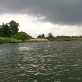 Freshwater tidal wetland The Biesbosch, fieldwork 12-05-2014