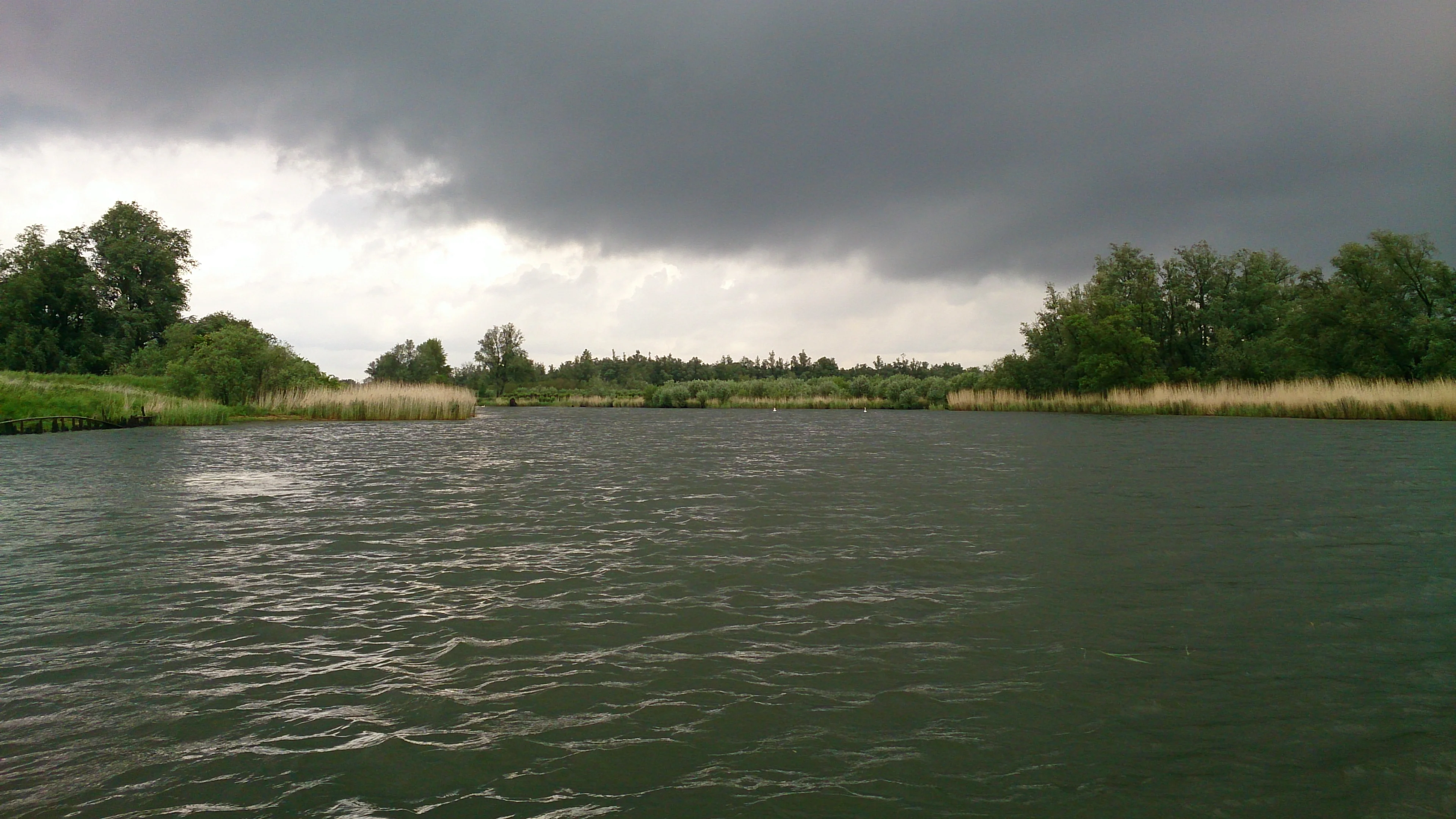 Freshwater tidal wetland The Biesbosch, fieldwork 12-05-2014