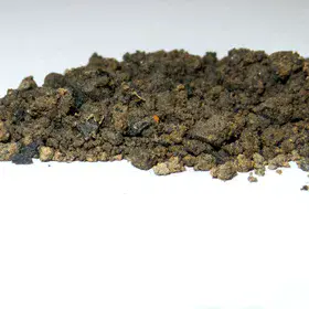 Carbon-sink
