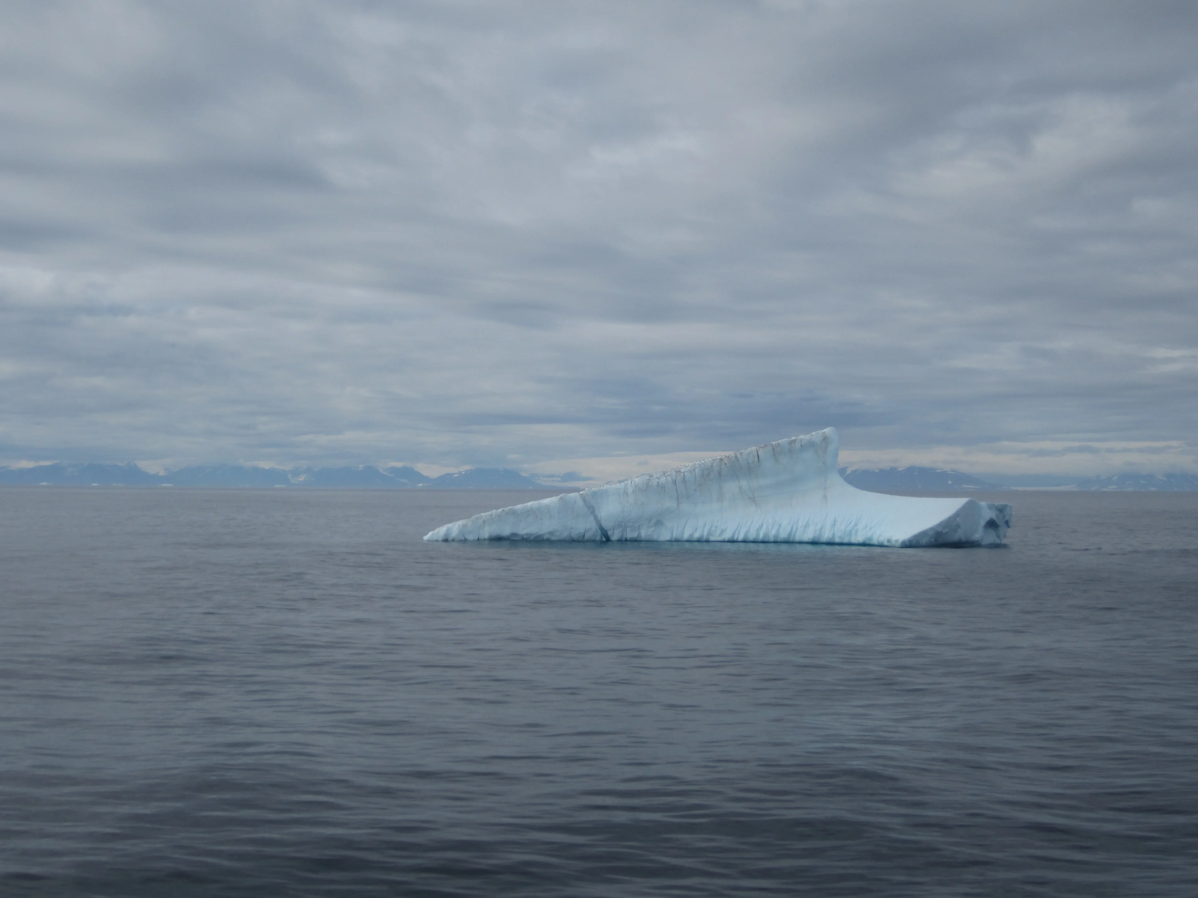 Iceberg in front of the biggest fjord in the World