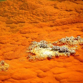 Active mineralisation
