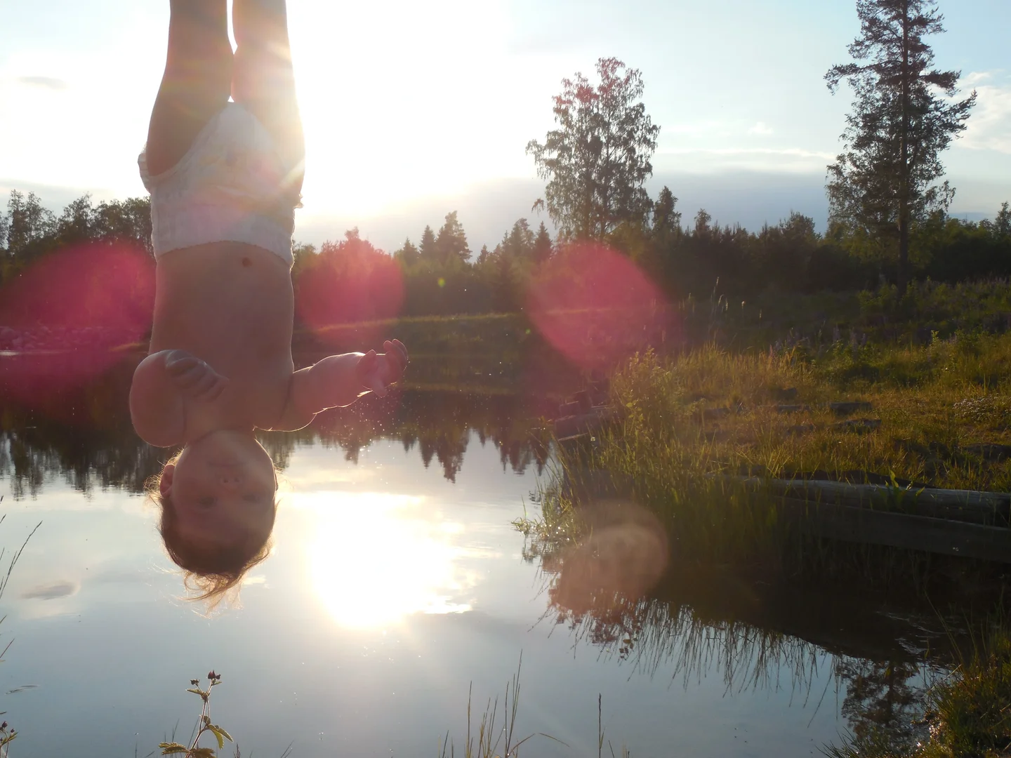 Man, sun, forest and water!