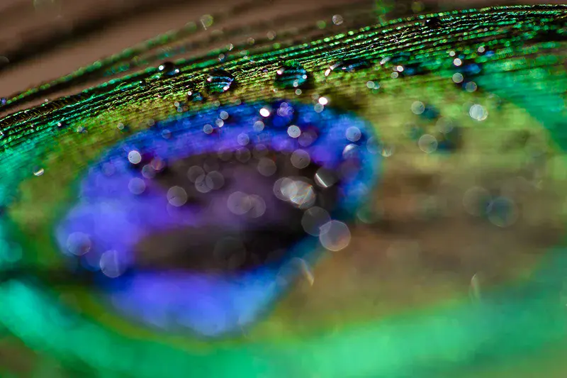Lensing water droplets