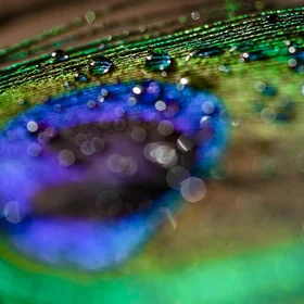 Lensing water droplets
