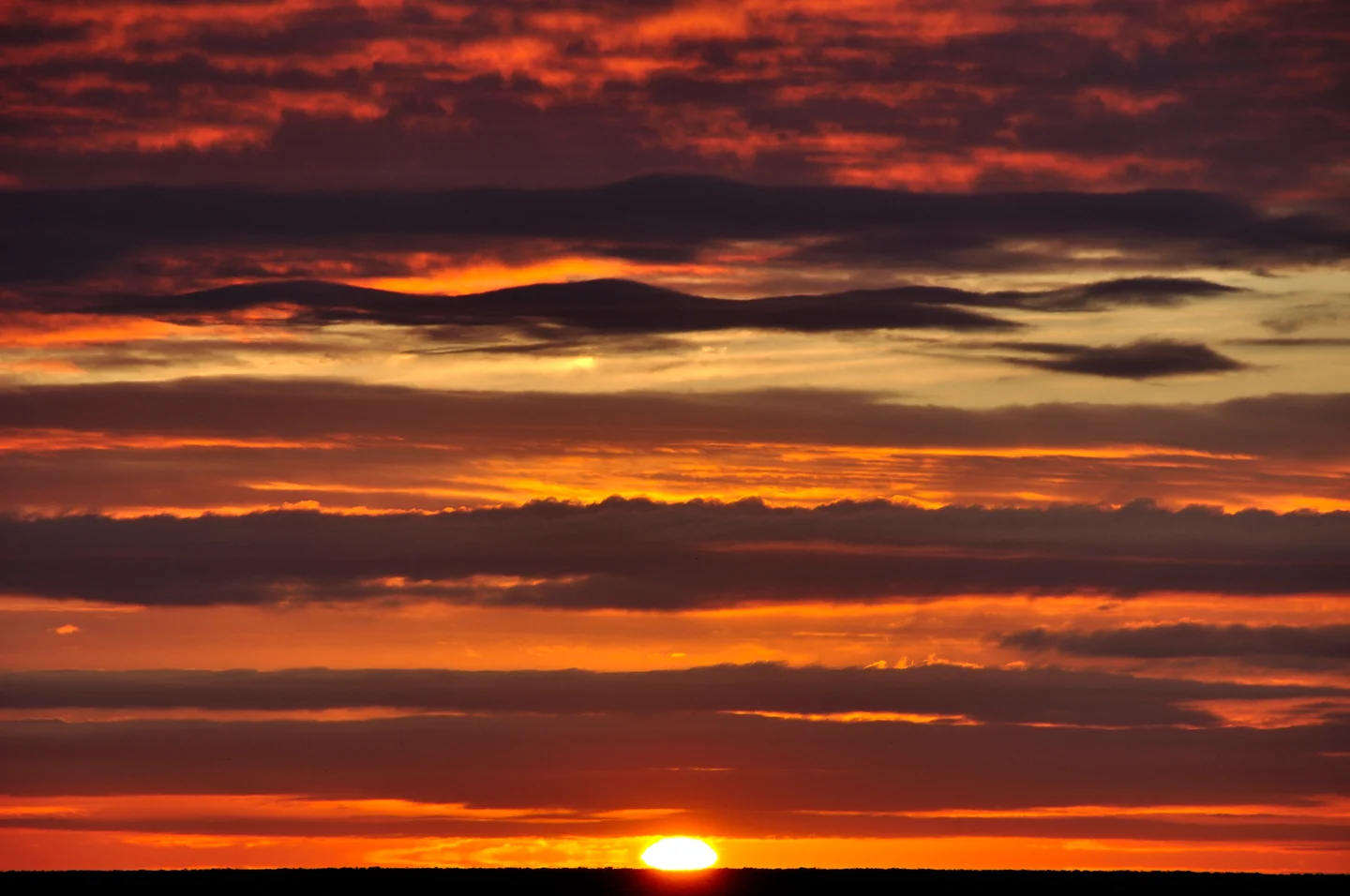 Fire in the sky