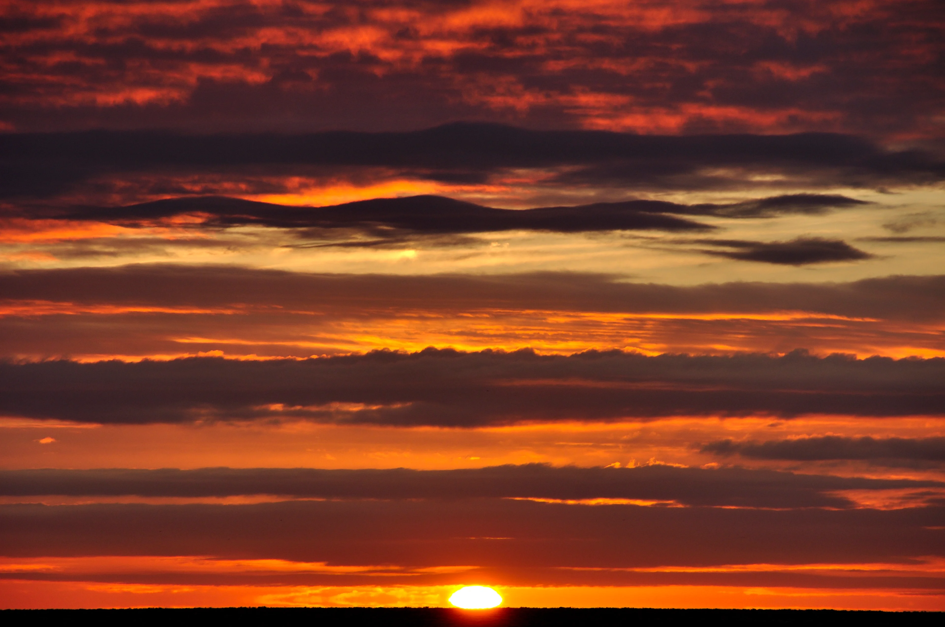 Fire in the sky