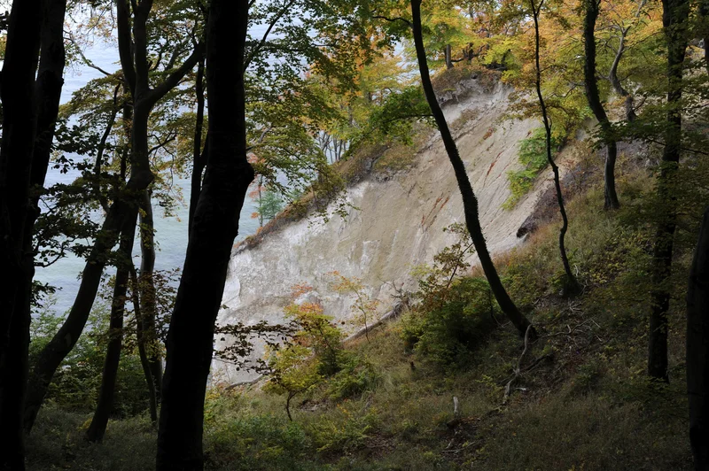 Coastal erosion on Rügen