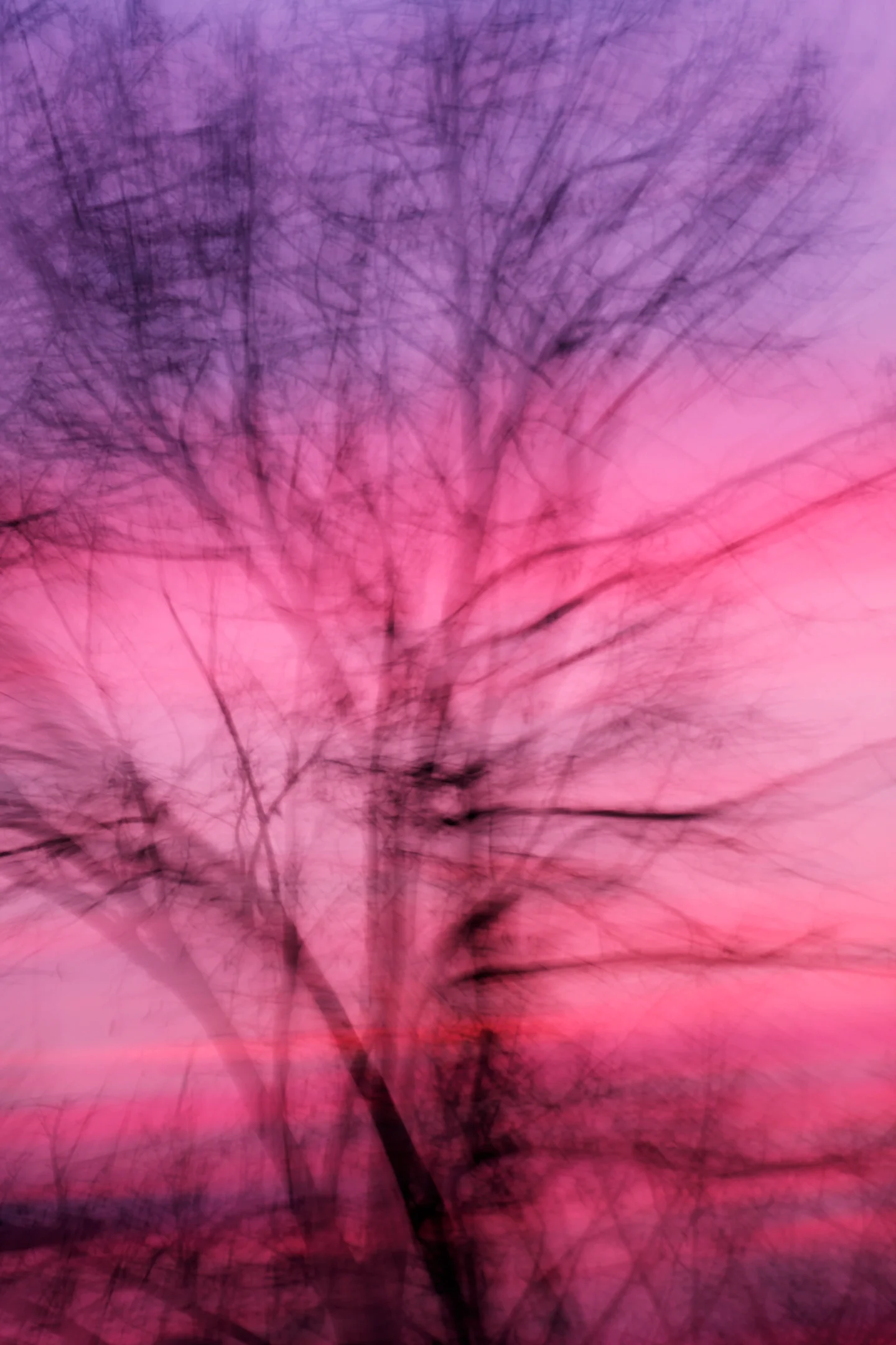 Dancing in the wind