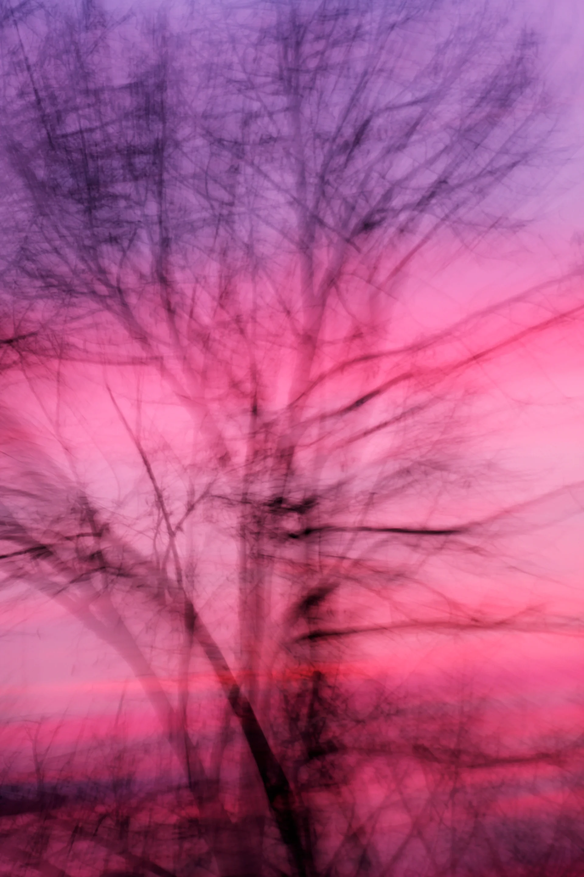 Dancing in the wind