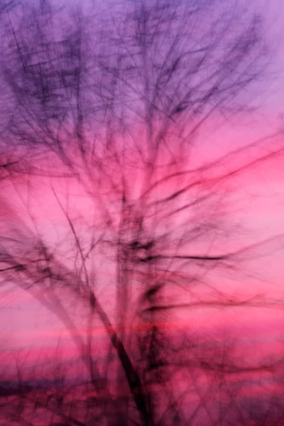 Dancing in the wind
