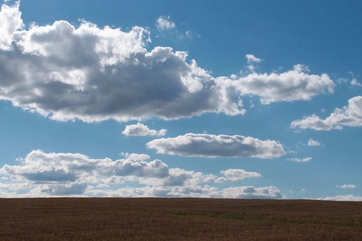 Under the open sky