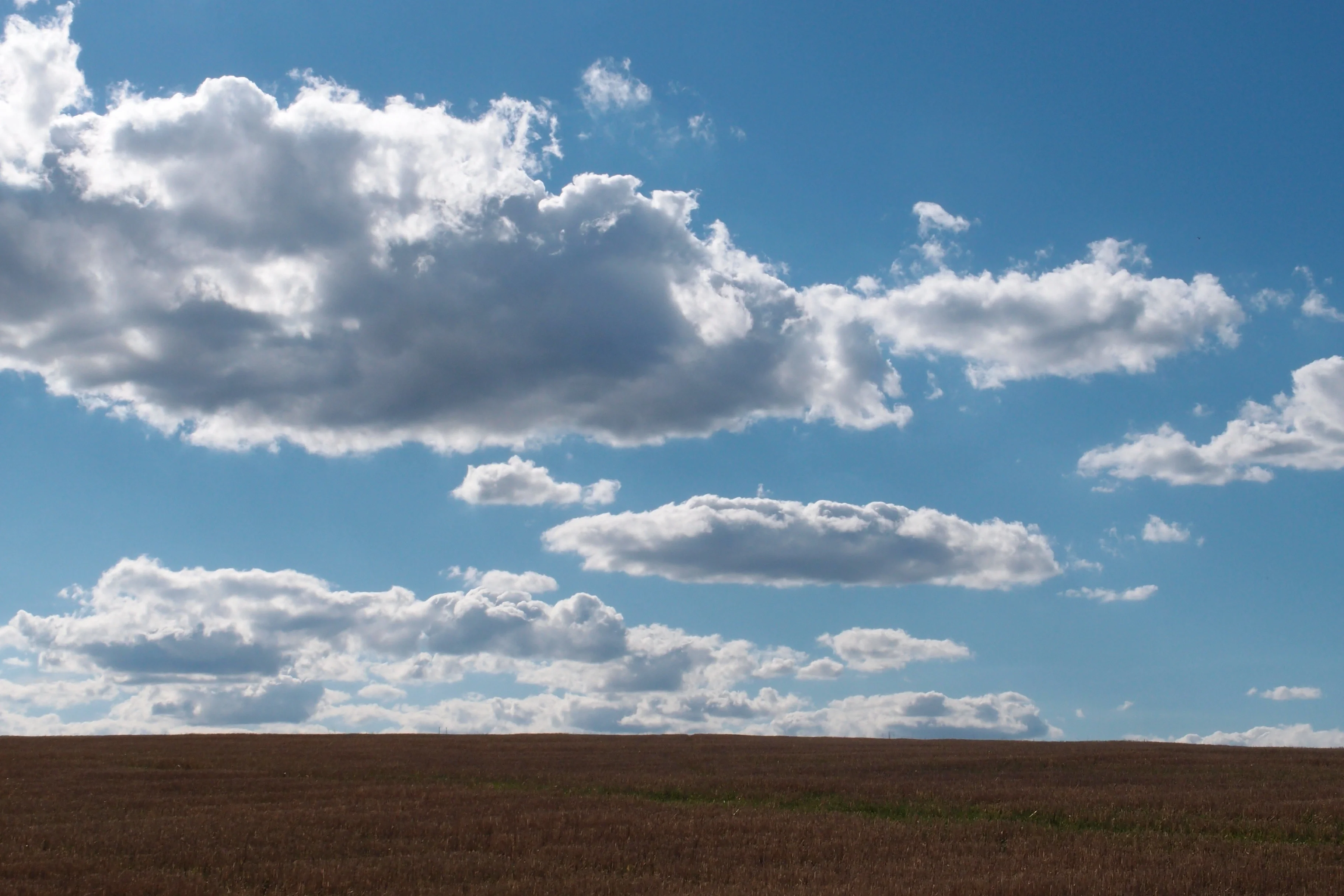 Under the open sky