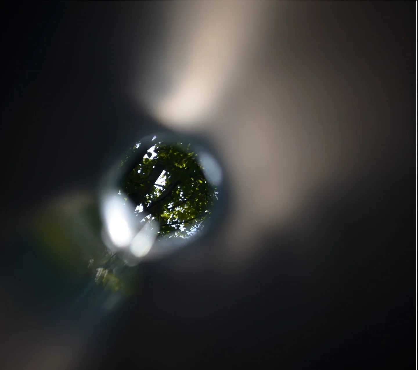 Light on the paper
