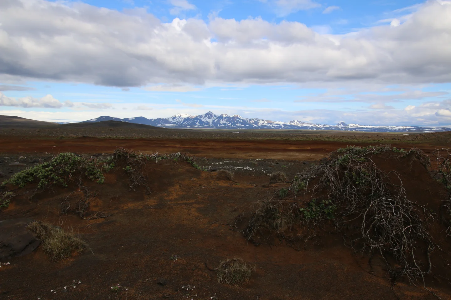 Degraded soil landscape - Iceland