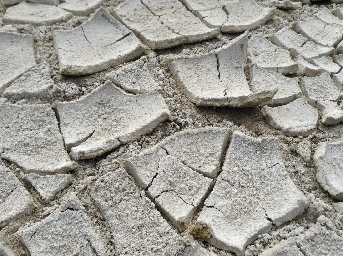 Salt crust