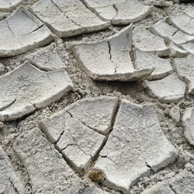 Salt crust
