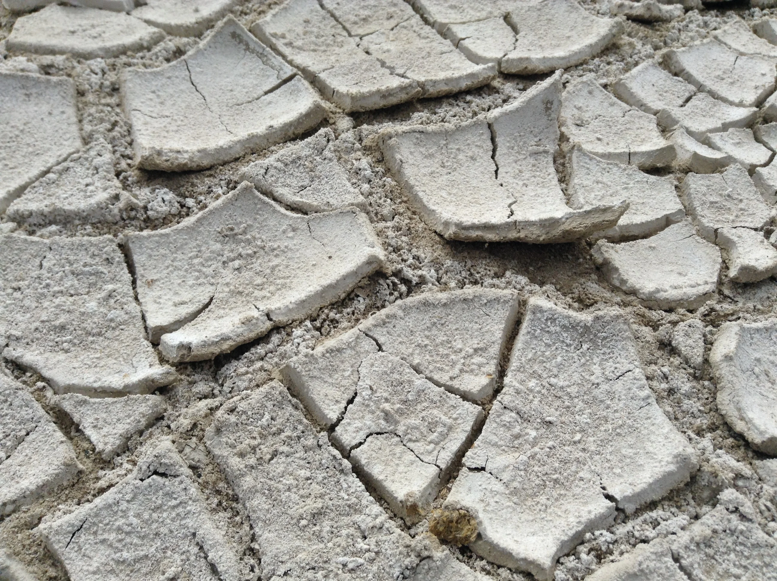 Salt crust