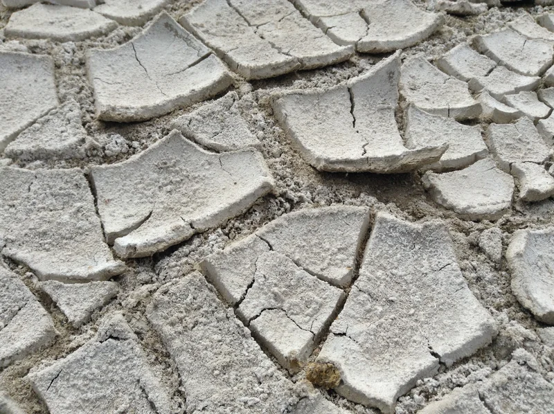 Salt crust