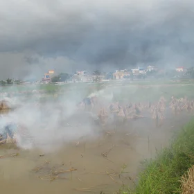 Blanket of smoke covers fields and homes