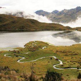 Andean páramo in Ecuador