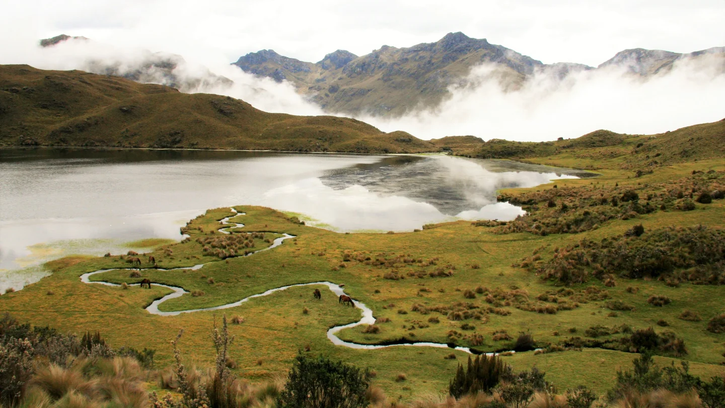 Andean páramo in Ecuador