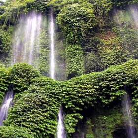 A mini green wall in Central Lombok, Indonesia